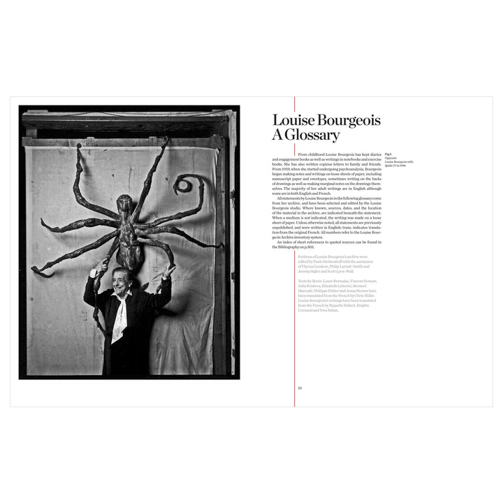 Louise Bourgeois - Frances Morris