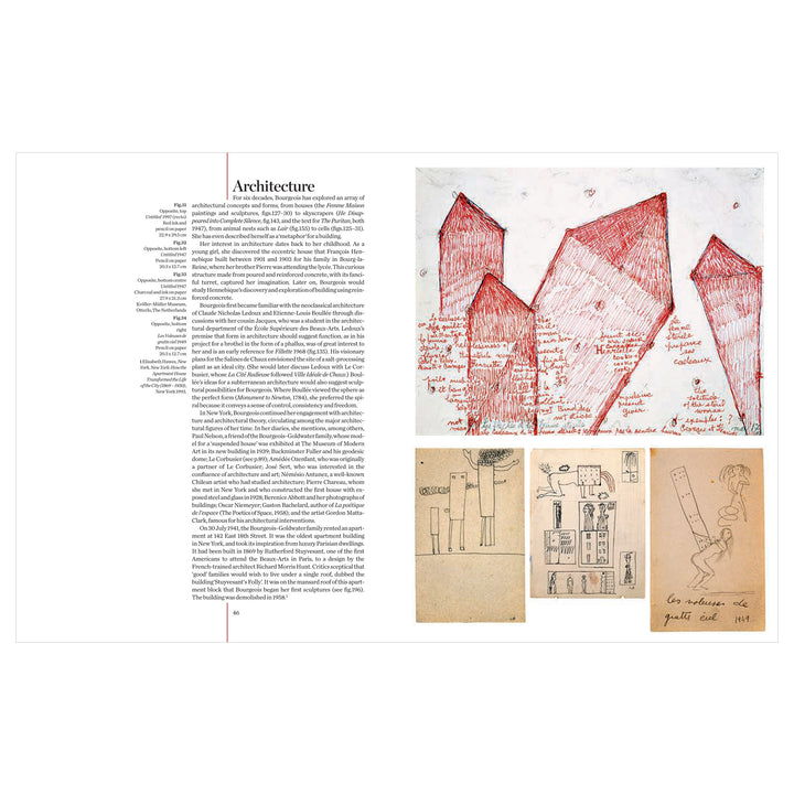 Louise Bourgeois - Frances Morris