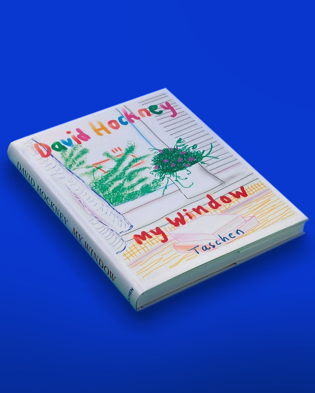 David Hockney - My Window