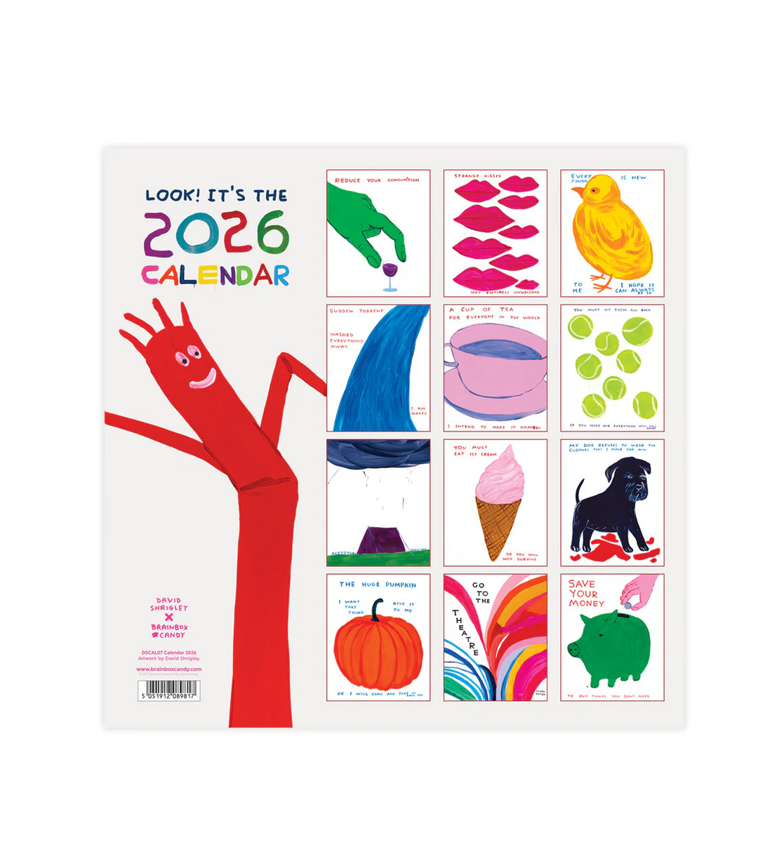 David Shrigley Official 2026 Wall Calendar