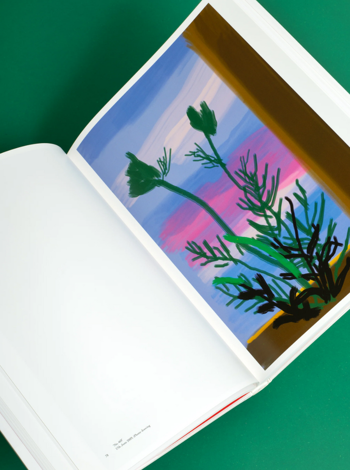 David Hockney - My Window