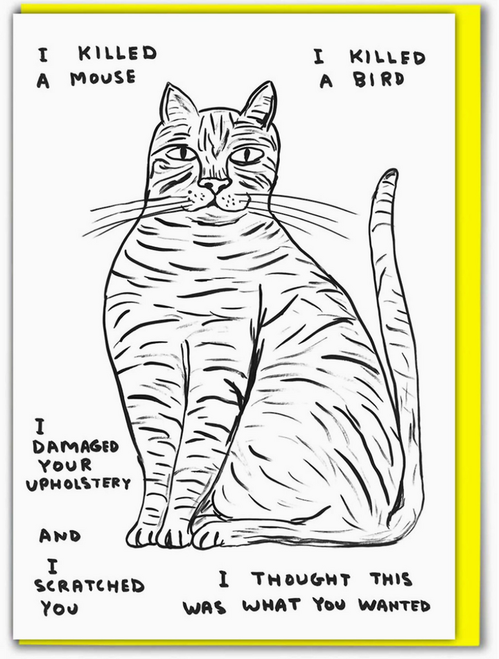 David Shrigley Greetings Card - 'I Killed A Mouse'