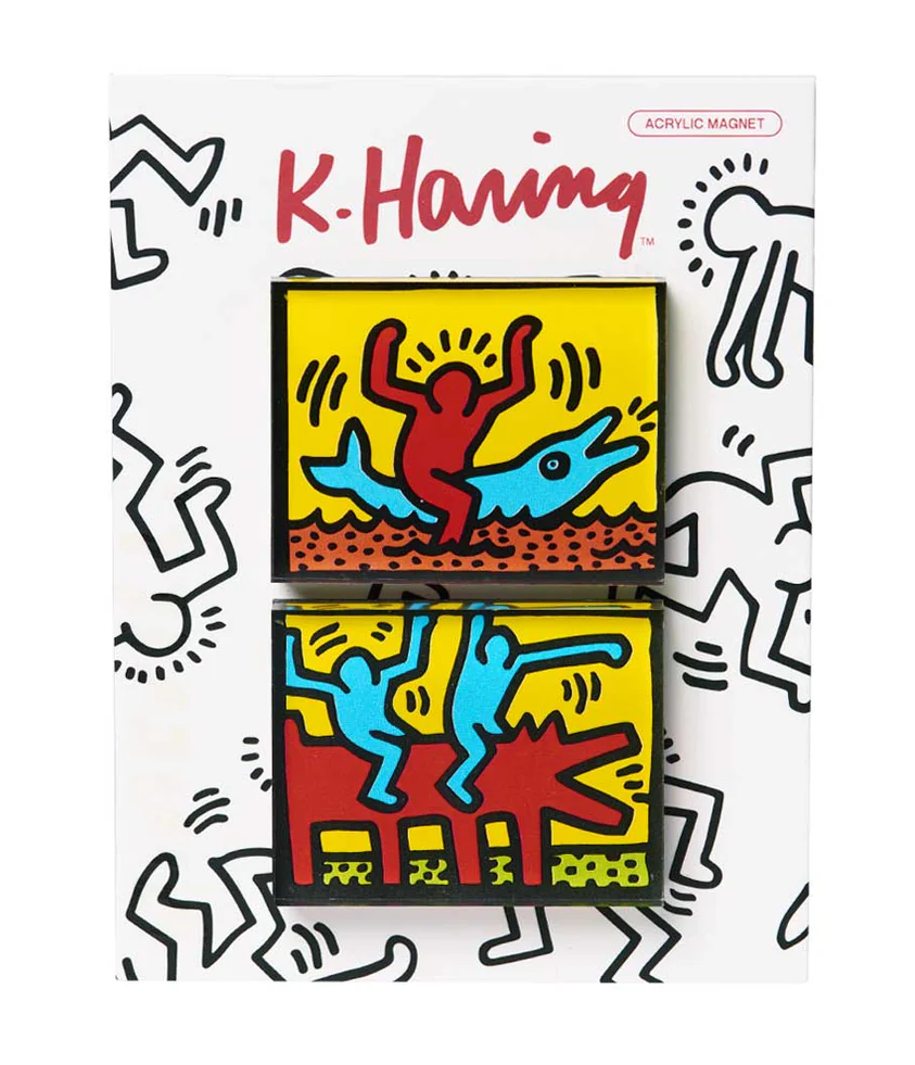 Keith Haring - Dolphin Ride Magnet Set