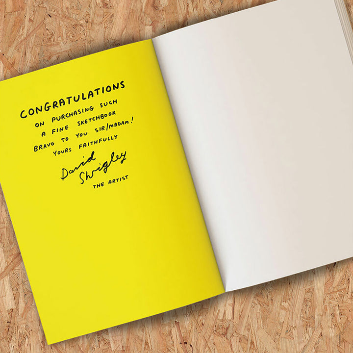 David Shrigley - Terrible Artwork Sketchbook
